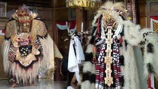 BARONG BALI DANCE AND LEAK  LIVE YOGYAKARTA INDONESIA [upl. by Berthe55]