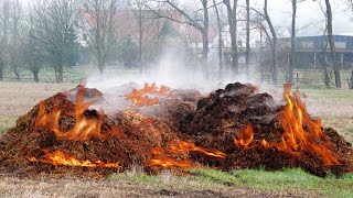 NEW YORK POOP SPONTANEOUSLY COMBUSTS [upl. by Kirchner]