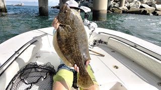 CATCHING THE BRIDGE MONSTER HOW TO Catch GIANT FLOUNDER with LIVE MULLET [upl. by Etteuqaj]