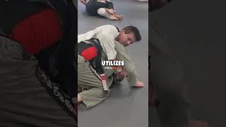 Joe Rogans Revolutionary Jiu Jitsu Trainer [upl. by Shoemaker]