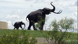 Lubbock Lake Landmark [upl. by Aelram]