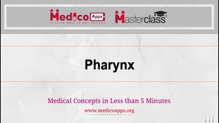 Live class on Pharynx by Dr Suguna [upl. by Yodlem]