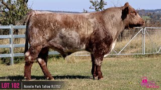 LOT 102  Ronelle Park Tallow RJJT52 [upl. by Jewelle]