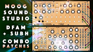 Moog Sound Studio DFAM  Subharmonicon 50 Combo Patches  Samples Demo [upl. by Hgeilyak]