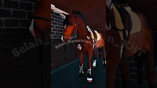 Try my new horse with me equestrian horse roblox fyp trend viral blowup strideway edit [upl. by Erine20]