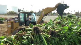 Port of Stockton Water Hyacinth Removal [upl. by Asecnarf]