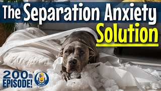 Solve Your Dogs Separation Anxiety With FRIDA Expanding Calm With Functional Relaxation 200 [upl. by Cadman]