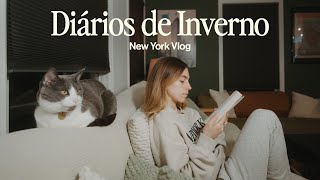 dia em manhattan novas amizades na vida adulta e rotina de skincare da noite [upl. by Auqenahc]