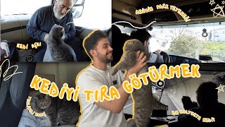 KEDİYİ TIRLA İŞE GÖTÜRMEK 🐱 🚛  babamın kedi sevgisi 👨 [upl. by Prisilla750]