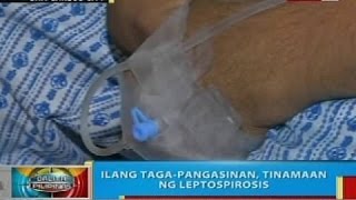 Magsasaka sa Bayambang Pangasinan patay sa leptospirosis [upl. by Ydennek]