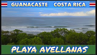 PLAYA AVELLANAS [upl. by Austina]