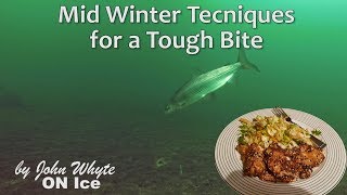 Tough Bite Techniques amp Asian Whitefish Recipe [upl. by Stander]