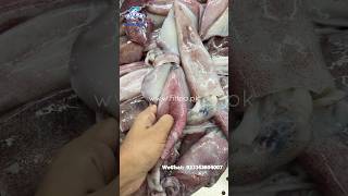 Loligo Squid Raw Material  HIFAA SEAFOODS  PAKISTAN hifaaseafoods wildcaught SquidClean [upl. by Htebarual]