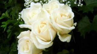 Gypsy Jazz  Saban Bajramovic  Bele Ruze White Roses [upl. by Haramat]