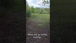 Turkey Season 24 [upl. by Ilehs]