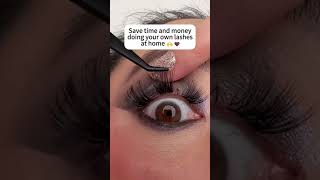 DIY LASH CLUSTER AT HOME lashes diylashclusters diylashextensions [upl. by Yraeg]