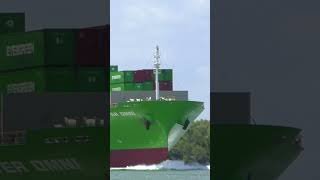 STUNNING EVERGREEN containership ships shipspotting [upl. by Huntlee969]