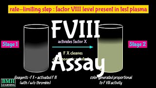 Chromogenic Factor VIII Activity Test  FVIII Assay  Chromogenic Factor VIII Assay  Factor 8 Assay [upl. by Nathaniel131]