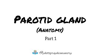 ANATOMY OF PAROTID GLAND [upl. by Katerine827]