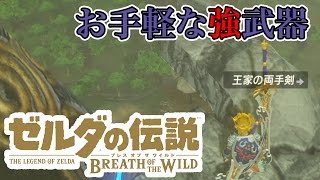 【BotW】50オーバーの武器は簡単に手に入る！：ゼルダの伝説 ブレス オブ ザ ワイルド実況プレイ！【逢月玲音】 [upl. by Ashlen]