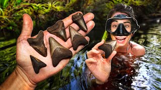 We Explored an Alligator Infested Florida Swamp and Found TONS of Shark Teeth  Fossil Hunting [upl. by Coke]