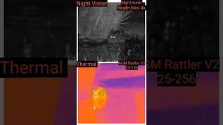 Night vision versus Thermal scope floridawildlife [upl. by Ginzburg50]