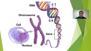 Huntingtons Disease Genetics Overview [upl. by Richma]