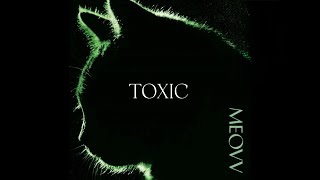 MEOVV  TOXIC Demo Lyrics [upl. by Helsie]