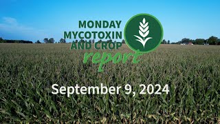 Monday Mycotoxin and Crop Report for September 9 2024 [upl. by Nairot159]