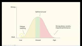 2 Yerkes Dodson Law of Arousal  Stage 1 Psychology [upl. by Hsizan]