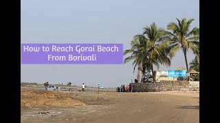 How to reach gorai beach from borivali  A Complete Guide [upl. by Nodyarb692]