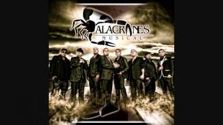 ALACRANES CORRIDOS MIX [upl. by Moscow369]