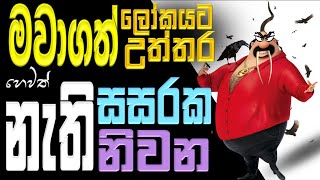 නැති සසරක නැති නිවන  මවාගත් ලෝකයට මවාගත් උත්තර  Ven Bandarawela Wangeesa Thero [upl. by Hamforrd842]