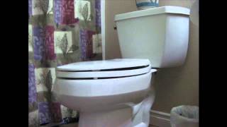 Toilet Flush Sound Effect [upl. by Bridget327]