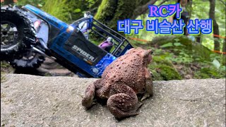 Gmade 110 SPIDER 외 잡차량RC Group Trial 대구 비슬산 산행 gmadespider rc카trx4 rccars 산행 2024년 9월 26일 [upl. by Malonis]