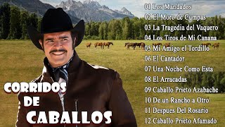 VICENTE FERNANDEZ PUROS CORRIDOS DE CABALLOS MIX  VICENTE FERNANDEZ LAS MEJORES RANCHERAS [upl. by Kane652]