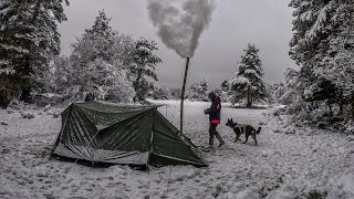 Warm Tent Camping in the Snow with My Dog  Freezing Winter Conditions Snow Wood Stove [upl. by Annaul420]