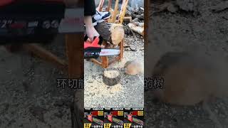 Shunfa Department Store529chainsaws hardware tools viralvideo foryou [upl. by Leziar933]