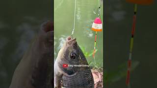 DIY Fishing Rig Upgrade Your Hooks for Bigger Catches 2024  Fishing Tutorial Shorts [upl. by Yremogtnom]