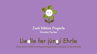 Chanson en alsacien pour enfants  Zwëi klëëne Fìngerle  Nicolas Fischer [upl. by Inad]