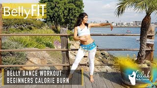 Beginners Belly Dance Cardio Workout  Shimmy Adventures [upl. by Aigneis]