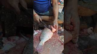 Delicious Huge Tilapia Fish Cutting Skills Live In Fish Market  shorts [upl. by Ochs]