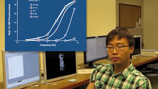 How does CaMKII sense specific calcium waves [upl. by Anital]