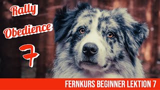 Rally Obedience Beginner Lektion 7 Wendungen auf der Stelle [upl. by Aoht851]