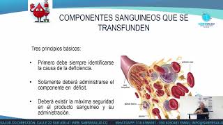 Transfusión sanguínea y hemoderivados [upl. by Ennaillij]