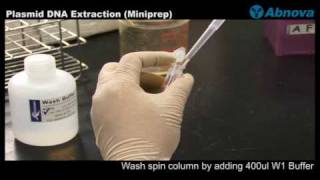 Plasmid DNA Extraction Miniprep [upl. by Mano]