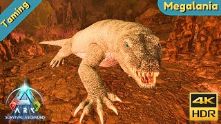 ARK Survival Ascended  Tame a Megalania [upl. by Lankton]