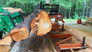 Пилим Кипарис на Американской Ленточной Пилораме WoodMizer LX55  Bidun Vlog  Greenville SC [upl. by Belanger269]