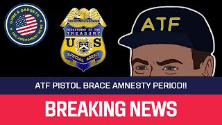 BREAKING NEWS ATF To Have Amnesty Period For ARAK Pistols [upl. by Leina]