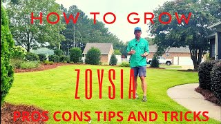 Zoysia  Pros Cons Tips and Tricks [upl. by Kathie]